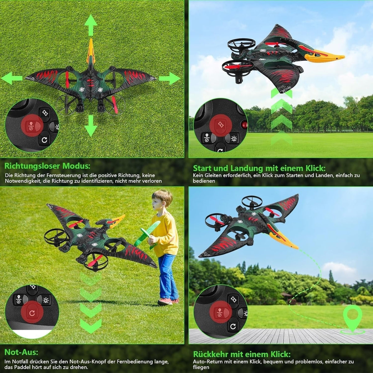 Dragon Remote Controlled Aeroplan L0713